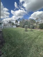 Backyard-pool-1.JPG