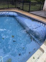 IMG_7801.JPG