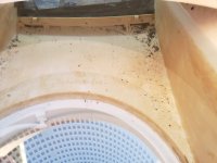 Pool skimmer weir part.jpg