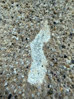 IMG_9353.jpeg