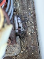 IMG_6147.jpeg