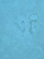 20250412_092215.jpg 20250412_092215.jpg