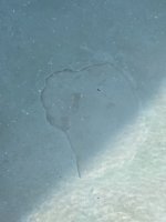 20250412_092207.jpg 20250412_092207.jpg