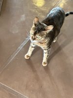 IMG_4988.jpeg