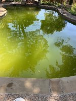 IMG_3011.jpeg