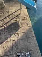 IMG_2555.jpeg