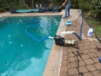 Pool 2025 2.jpg