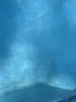 IMG_6891.jpg