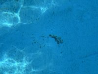 IMG_6887.jpg