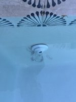 IMG_5072.jpeg