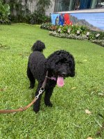 IMG_6615.jpeg