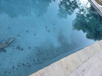 pool1.jpg pool1.jpg