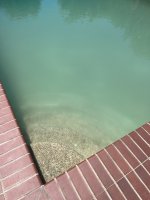 IMG_6948.jpeg IMG_6948.jpeg