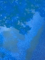 IMG_0751.jpeg