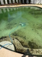 pool 2.jpg pool 2.jpg