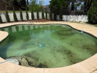 pool 1.jpg pool 1.jpg
