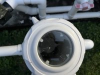IMG_1974.jpeg