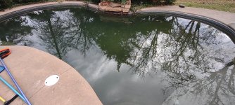 IMG_20220317_161150181.jpg