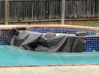 IMG_5451.jpeg