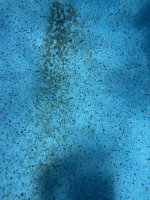 IMG_3503.jpeg IMG_3503.jpeg