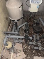 IMG_1191.jpeg