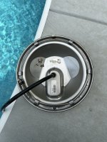 IMG_7970.jpeg