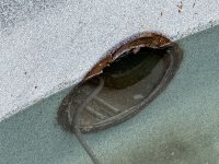 IMG_2798.jpeg