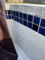 IMG_5455.jpeg