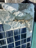 IMG_5458.jpeg