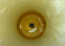 1745701993569.png