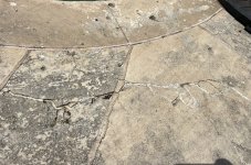 IMG_5442.jpeg