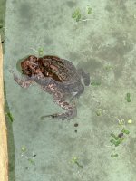 IMG_2821.jpeg IMG_2821.jpeg