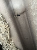 IMG_0878.jpeg