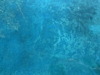 IMG_1349.jpeg