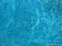 IMG_1350.jpeg