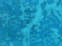 IMG_1351.jpeg