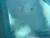 IMG_1348.jpeg