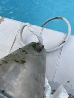 IMG_1020.jpeg
