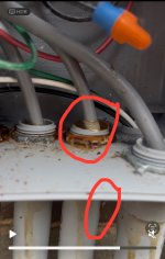 IMG_0730.jpeg