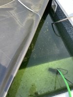 IMG_9045.jpeg