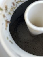 IMG_3038.jpeg
