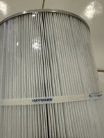 IMG_6372.jpeg