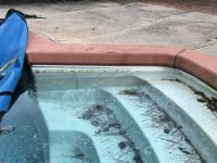 Pool Deck - 4.jpeg Pool Deck - 4.jpeg