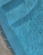 IMG_5954.jpeg