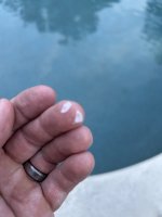 Pool Scale 2.jpg Pool Scale 2.jpg