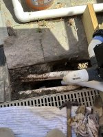 IMG_2632.jpeg
