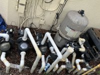 IMG_2010.jpeg