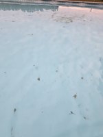 20250512_065737.jpg
