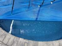 IMG_5137.jpeg IMG_5137.jpeg