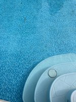 IMG_2898.jpeg